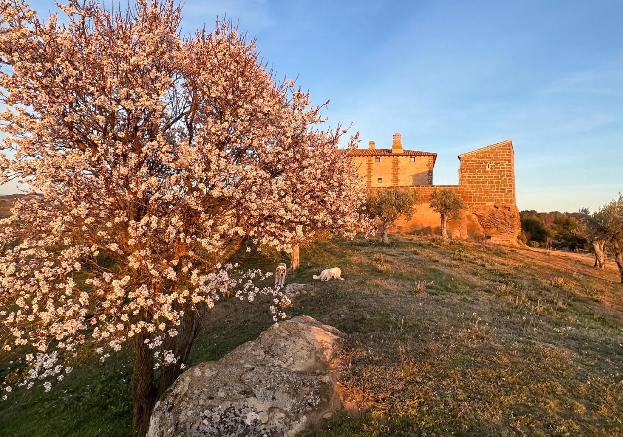 Castillo De Corvinos Huesca Zewnętrze zdjęcie
